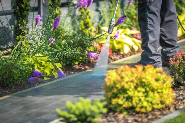 Professional  Pressure Washing Services in Pleasant View, TN