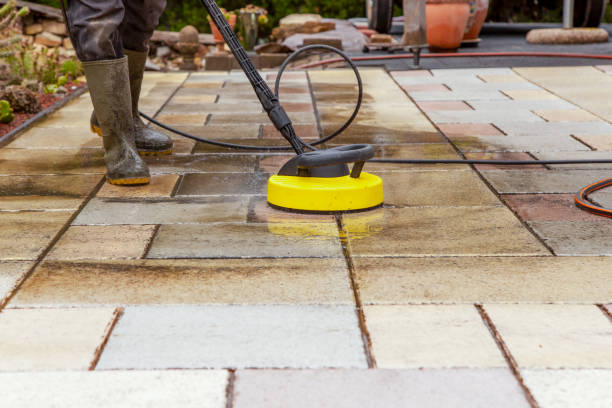 Best Solar Panel Cleaning  in Pleasant View, TN